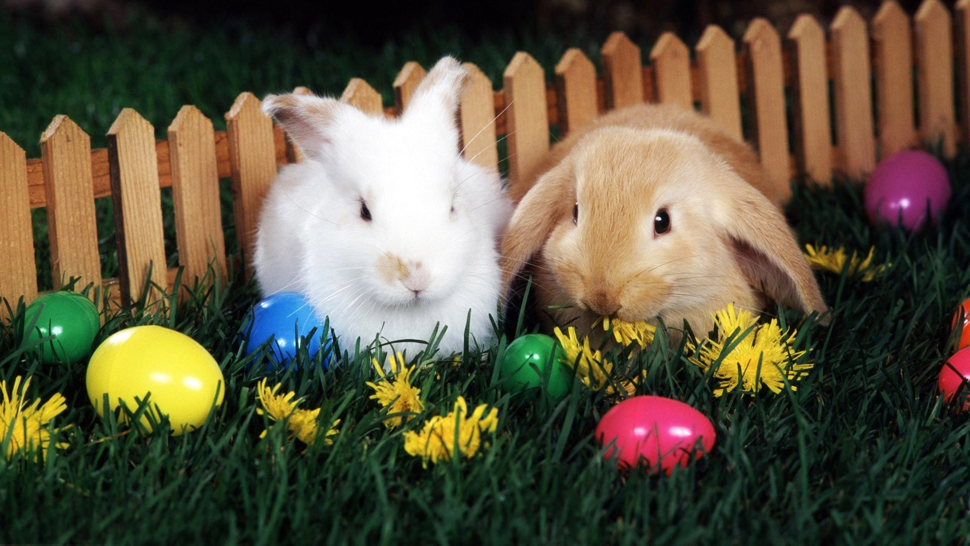 Easter