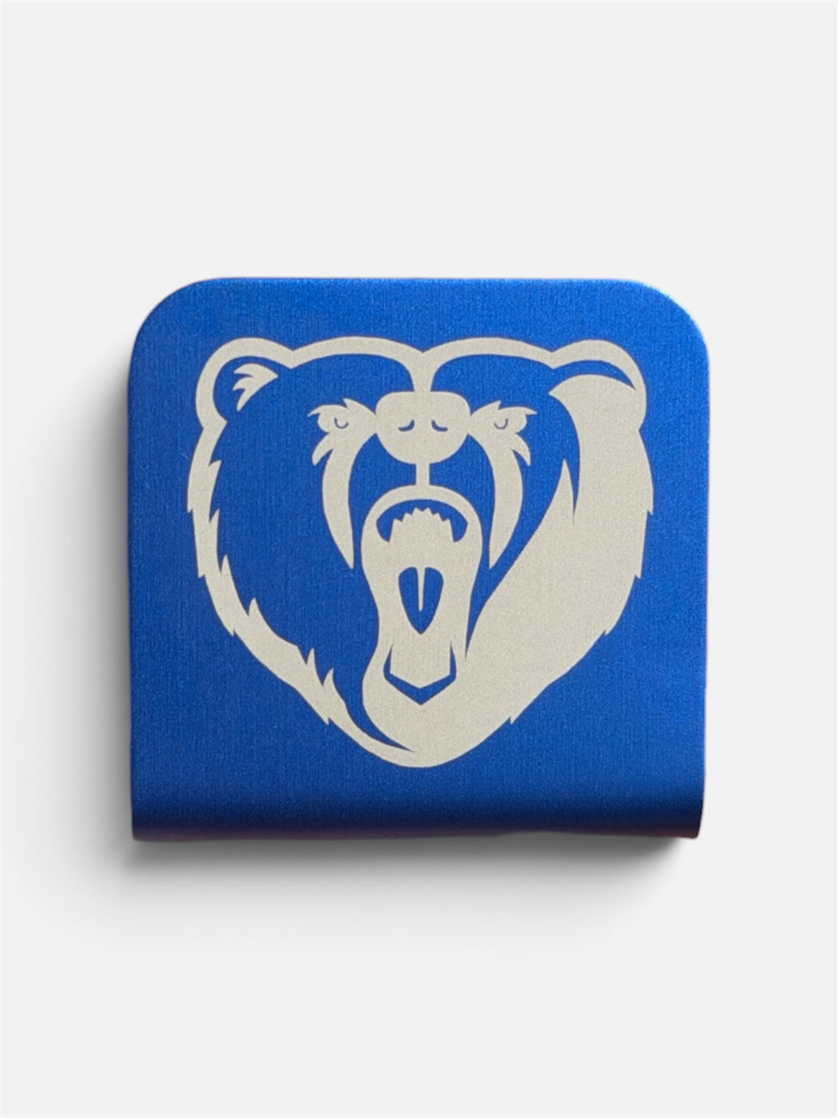 Bartram Trail HS Bears Hat Clip